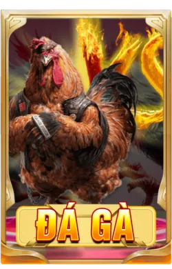 Favicon đá gà