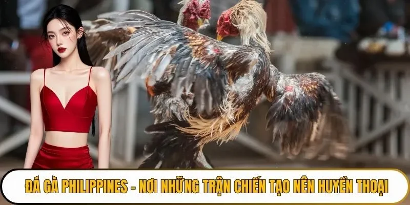 đá gà philipines