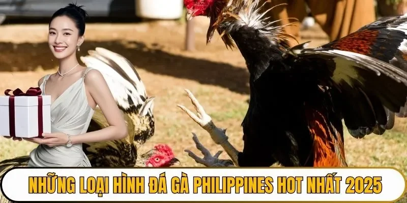 Những loại hình đá gà Philippines hot nhất 2025
