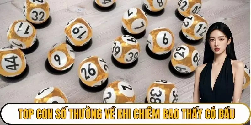 Top con số thường về khi chiêm bao thấy có bầu